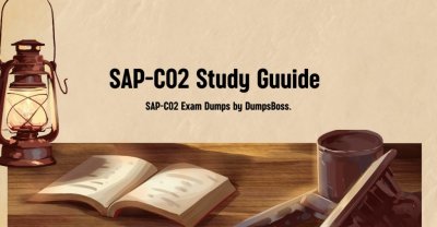 SAP-C02 Exam Dumps.jpg